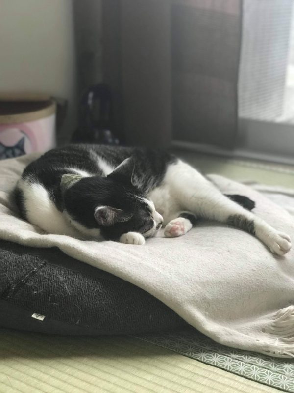 写真提供・コ２編集部